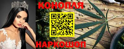 mdpv Будённовск